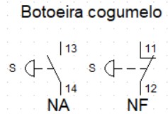 Imagem: Botoeira cogumelo